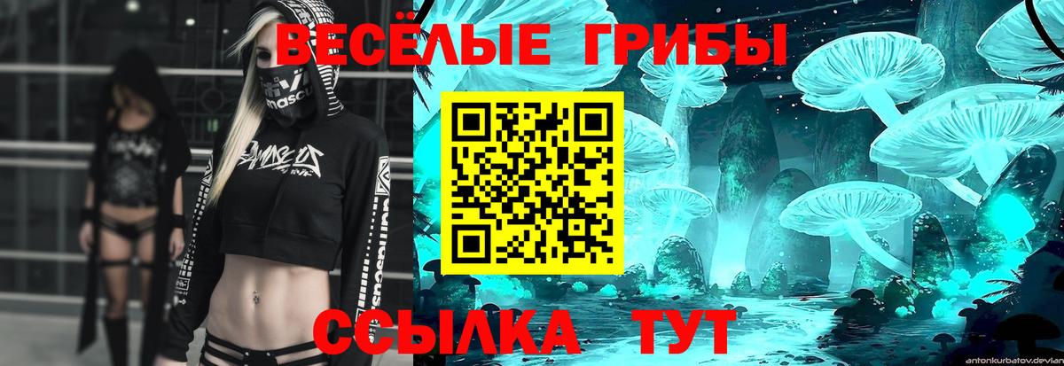 Нововоронеж  Галлюциногенные грибы Cubensis  как найти   Вход с VPN 