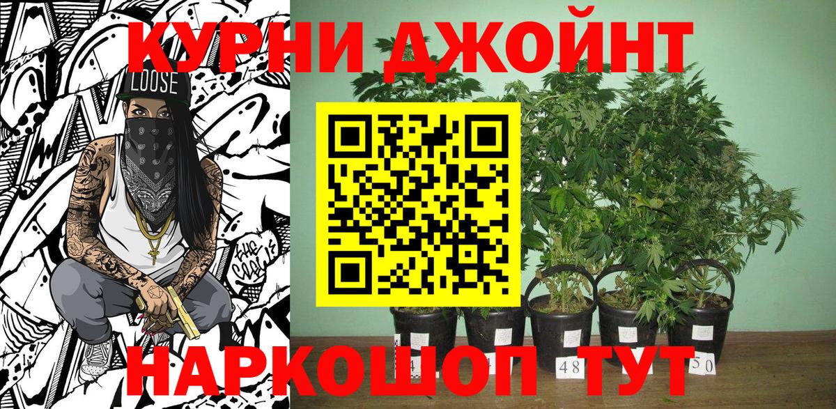 Каннабис THC 21%  Бошки Шишки OG Kush  Нововоронеж  Вход с VPN  МАРИХУАНА LSD WEED 